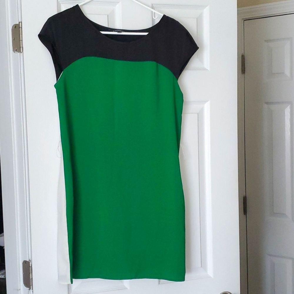 Express XS Colorblock Dress